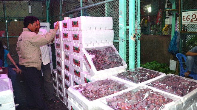 Nho Trung Quốc tại chợ đầu mối Thủ Đức. Ảnh: Dũng Tuấn. Nho Trung Quốc tại chợ đầu mối Thủ Đức. Ảnh: Dũng Tuấn