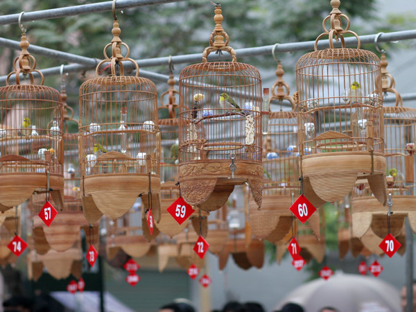 Trên giàn là những lồng chim đi tiếp vào vòng trong