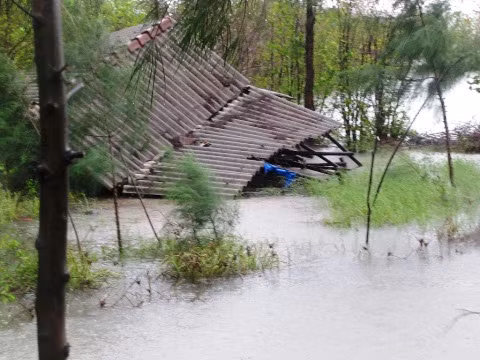 Điểm nuôi trồng thủy sản ven phá bị gió bão xô sập. 