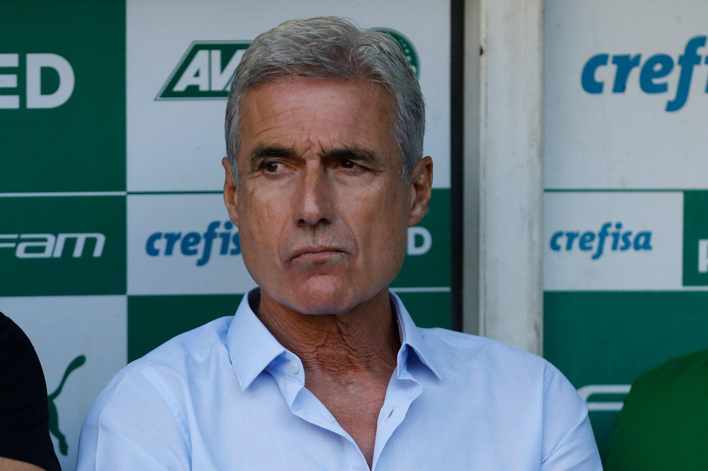 Luis Castro không có nhiều danh tiếng nhưng vẫn được Al Nassr lựa chọn nhờ Ronaldo