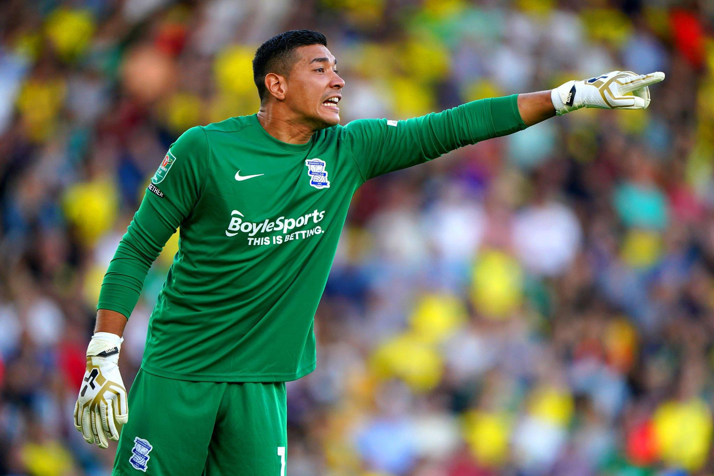 Neil Etheridge trong màu áo Birmingham Neil Etheridge trong màu áo Birmingham