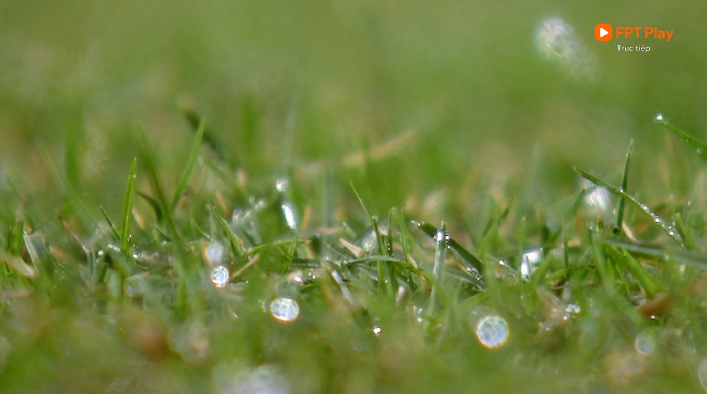 Lucao lập hattrick, Hải Phòng chấm dứt 13 năm không thắng trên sân Hà Nội ảnh 6