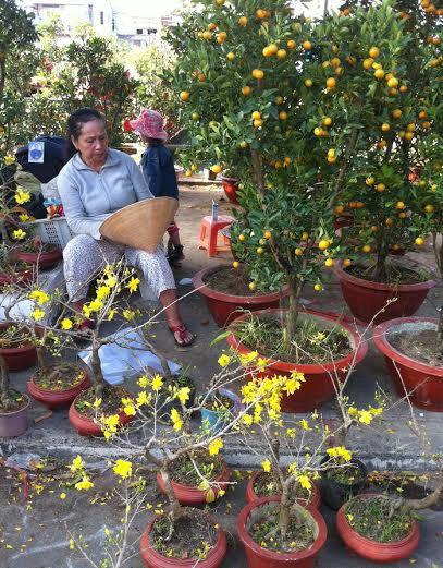 Cần Thơ: Dưa, hoa đại hạ giá vẫn ế ẩm ảnh 4