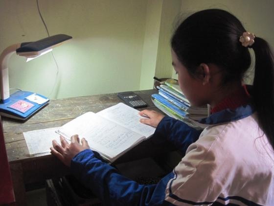 Ngôi làng có hơn 50 giáo sư và phó giáo sư ảnh 2