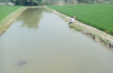 Sau nhiều tháng trời đào đất, hai vợ chồng ông Tý biến miếng đất nền thành cái ao.