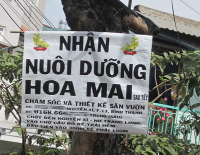 Những dịch vụ độc lạ hốt bạc dịp Tết Ất Mùi ảnh 3