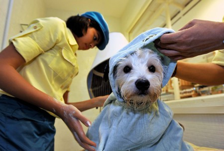 Những dịch vụ độc lạ hốt bạc dịp Tết Ất Mùi ảnh 2