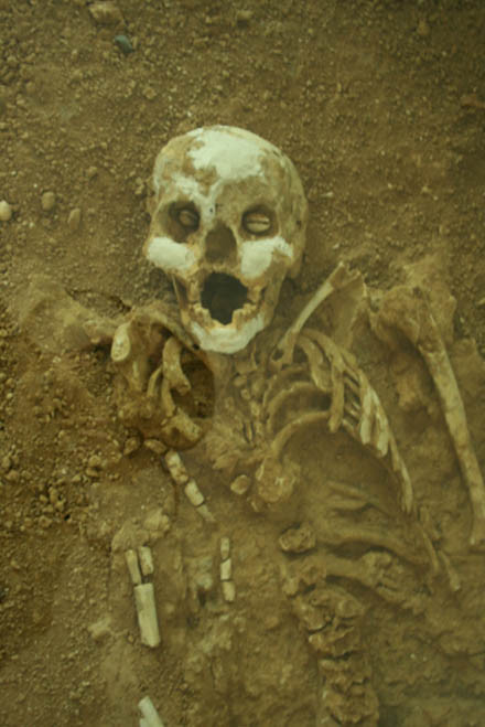 Sự thật về “ma núi” Phia Vài 10 ngàn tuổi ảnh 3