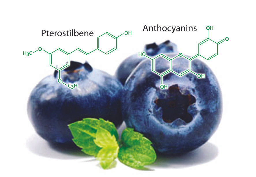 OTIV chứa các hoạt chất Anthocyanin, Pterostilbene từ Blueberry giúp chống gốc tự do, cải thiện tình trạng thiếu máu não. OTIV chứa các hoạt chất Anthocyanin, Pterostilbene từ Blueberry giúp chống gốc tự do, cải thiện tình trạng thiếu máu não