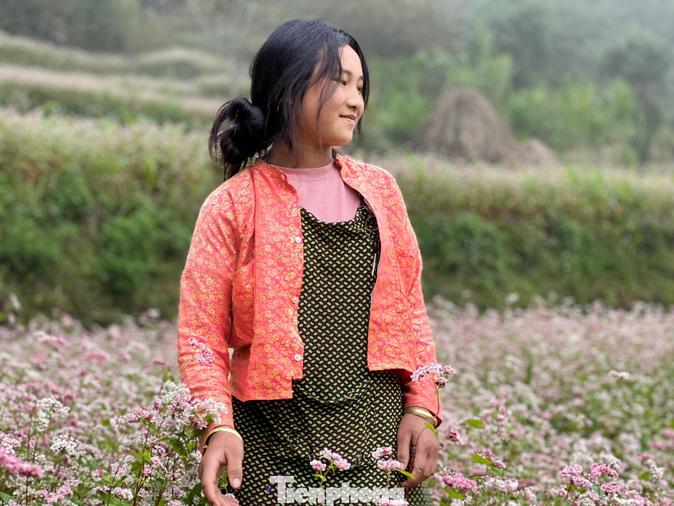 Mỗi ruộng Tam giác mạch được gieo trồng để phục vụ du lịch. Gia đình cô bé họ Vừ ở xã Lũng Táo (huyện Đồng Văn, tỉnh Hà Giang) đem lại nguồn thu đáng kể cho gia đình. Mỗi du khách trả phí 10.000 đồng cho một lượt ghé vào chụp ảnh. Ảnh: NGUYÊN KHÁNH. Mỗi ruộng Tam giác mạch được gieo trồng để phục vụ du lịch. Gia đình cô bé họ Vừ ở xã Lũng Táo (huyện Đồng Văn, tỉnh Hà Giang) đem lại nguồn thu đáng kể cho gia đình. Mỗi du khách trả phí 10.000 đồng cho một lượt ghé vào chụp ảnh. Ảnh: NGUYÊN KHÁNH.