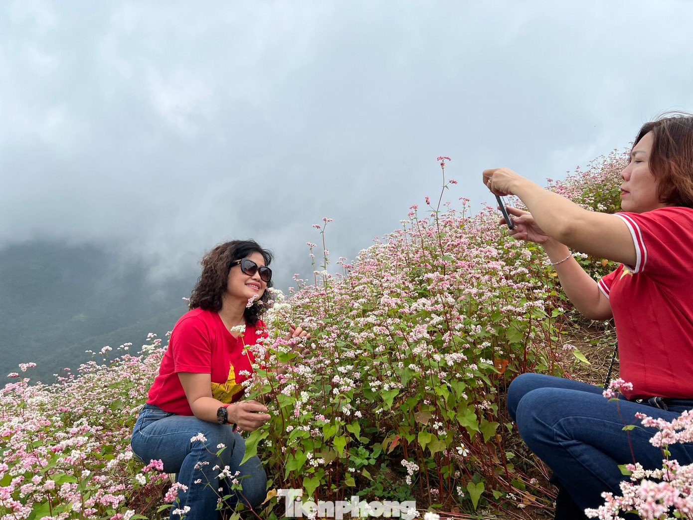 Triền đồi hoa Tam giác mạch thu hút bước chân du khách. Ảnh: NGUYÊN KHÁNH. Triền đồi hoa Tam giác mạch thu hút bước chân du khách. Ảnh: NGUYÊN KHÁNH.