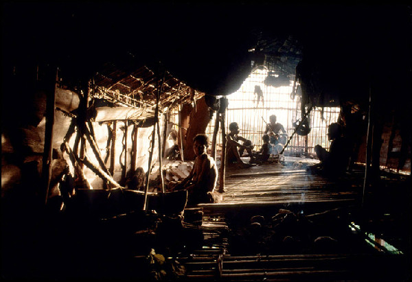 Bên trong ngôi nhà tổ chim. Ảnh: georgesteinmetz.com