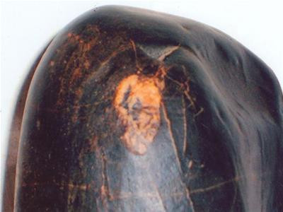 Mua hòn đá vệ đường 50 ngàn, người đàn ông Nam Định được báu vật 5 tỷ ảnh 8