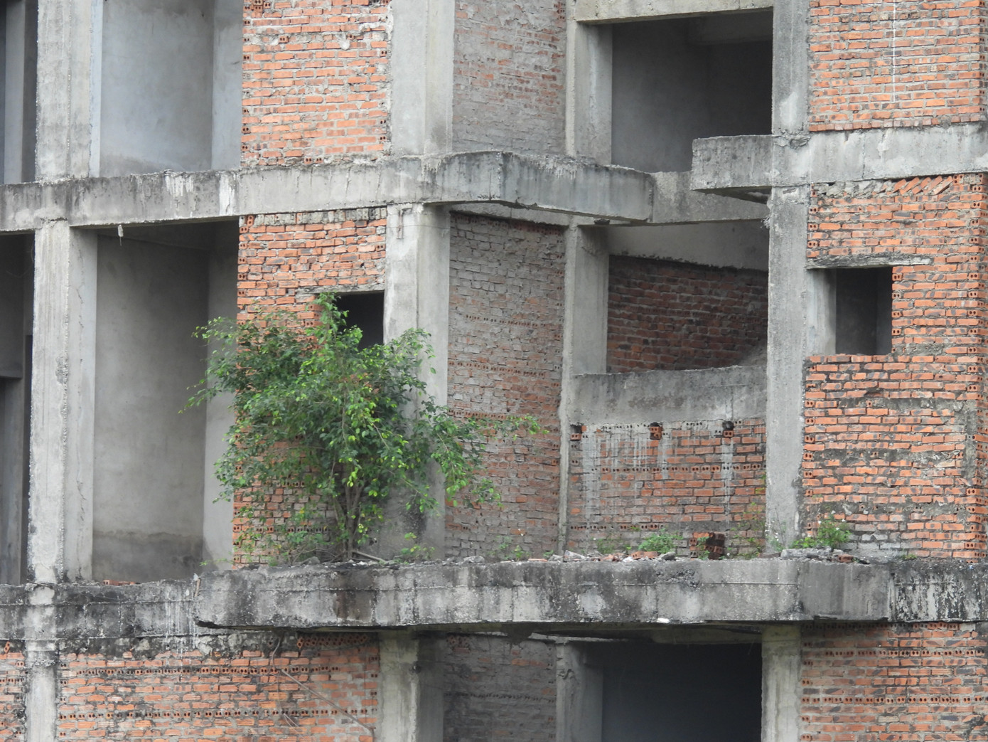 Cụ thể, 2 tòa nhà B và C sẽ được sử dụng làm Bệnh viện Ung bướu Ninh Bình, và diện tích đất sẽ được bổ sung để xây dựng khu kỹ thuật và khu điều trị đặc biệt, cũng như để dự trữ phát triển trong tương lai của bệnh viện. Đối với 2 khối nhà còn lại (A và D), sẽ được cải tạo lại công năng để sử dụng cho trường Cao đẳng Y tế Ninh Bình; một phần sẽ được sử dụng làm KTX sinh viên và sẽ được quản lý bởi trường Cao đẳng Y tế theo quy định. Thế nhưng dự án đến nay dự án vẫn chưa tiếp tục triển khai.