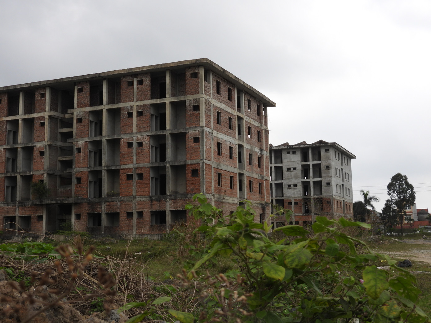 Chậm trễ trong xử lý dự án và việc bỏ hoang ký túc xá sinh viên tại Ninh Bình đã tạo ra tình trạng lãng phí lớn khiến người dân địa phương không khỏi xót xa. Sự chậm trễ này không chỉ ảnh hưởng đến nhu cầu chỗ ở của sinh viên mà còn tạo ra hình ảnh tiêu cực về quản lý và triển khai dự án từ phía chính quyền địa phương.