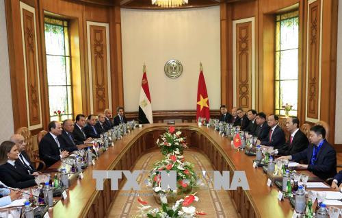 Việt Nam - Ai Cập ký kết 8 văn kiện quan trọng ảnh 1
