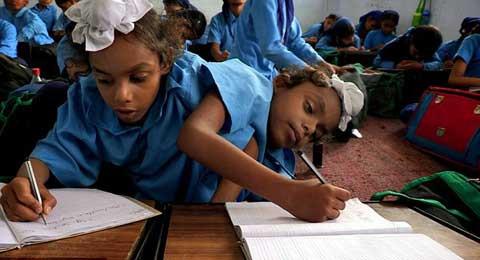 Cùng nhau học bài 