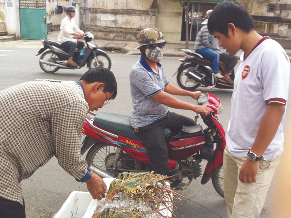 Tôm hùm bán tràn lan ở lề đường. Ảnh: P.V