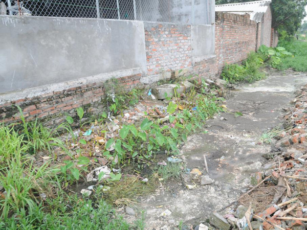 Phân và nước thải đặc quánh của một lò mổ gây ô nhiễm nghiêm trọng