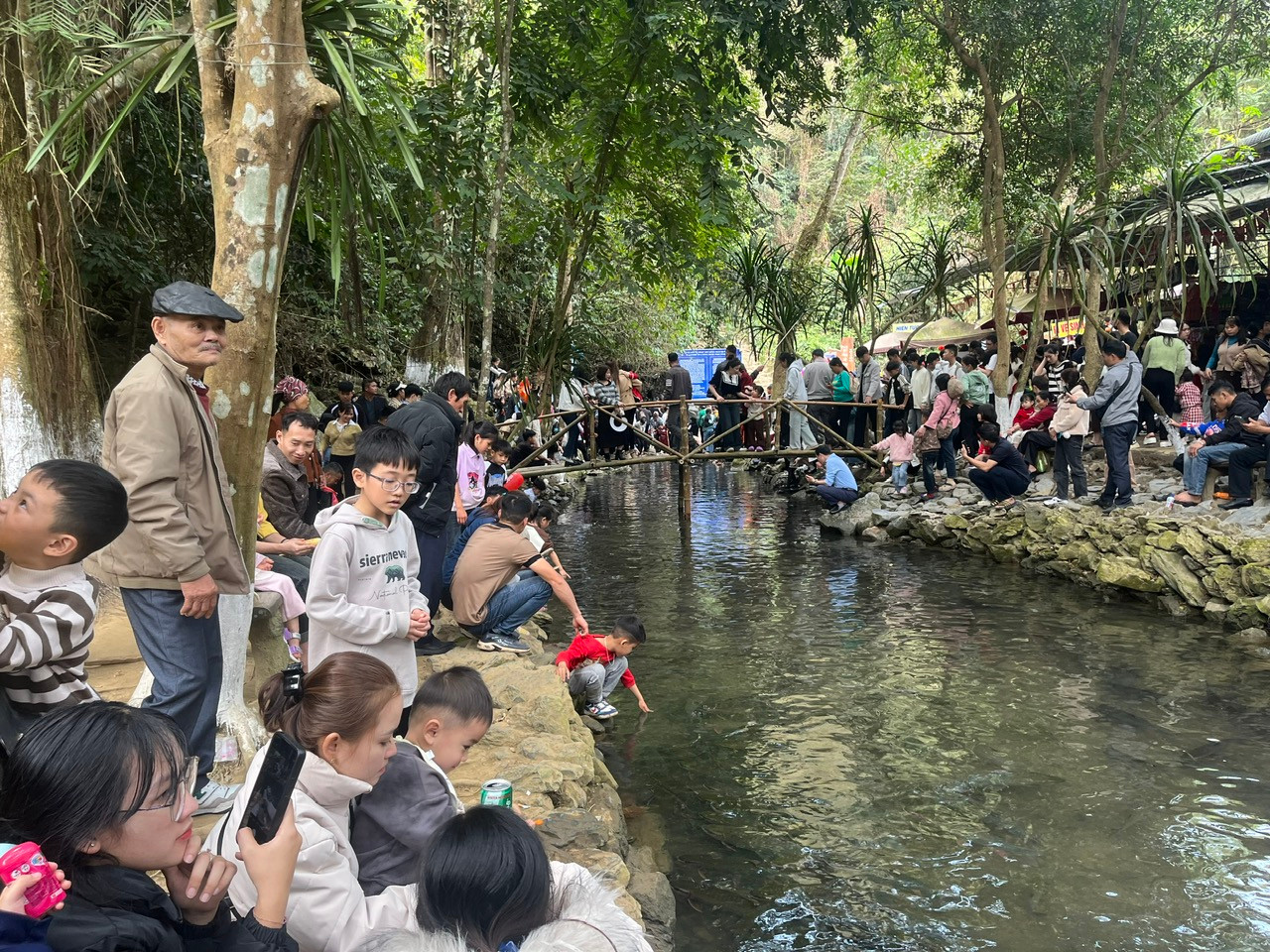 Đông đảo du khách trải nghiệm vui chơi tại suối cá thần Cẩm Lương.