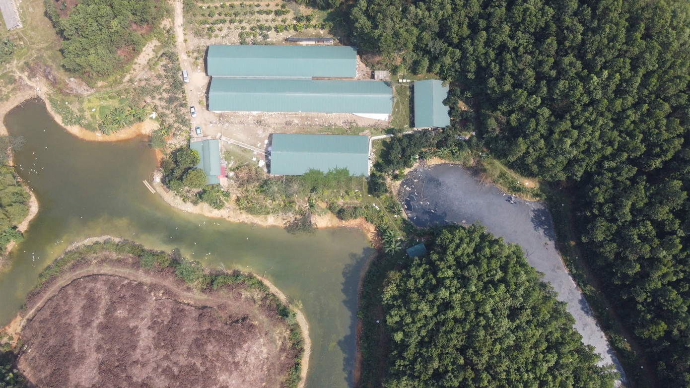 Toàn cảnh trang trại của gia đình bà Lê Thị Chính.