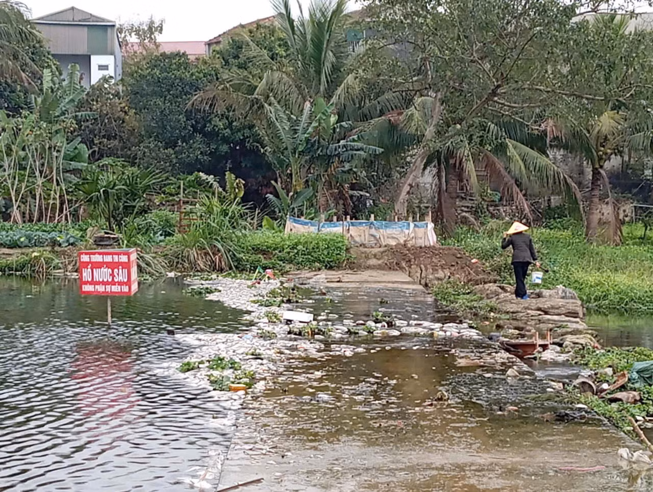 Cụ thể, đoạn suối từ chân cầu Cổ Đam đến đập tràn phía hạ lưu, xác cá nổi trắng, ruồi nhặng bu đầy. Người dân ở khu phố 6, phường Ba Đình, thị xã Bỉm Sơn cho biết, tình trạng tôm cá chết được phát hiện mấy ngày gần đây. Người dân ra bờ suối vớt cá chết đem về làm thức ăn cho gia súc hoặc ngâm ủ làm phân bón cho cây trồng.