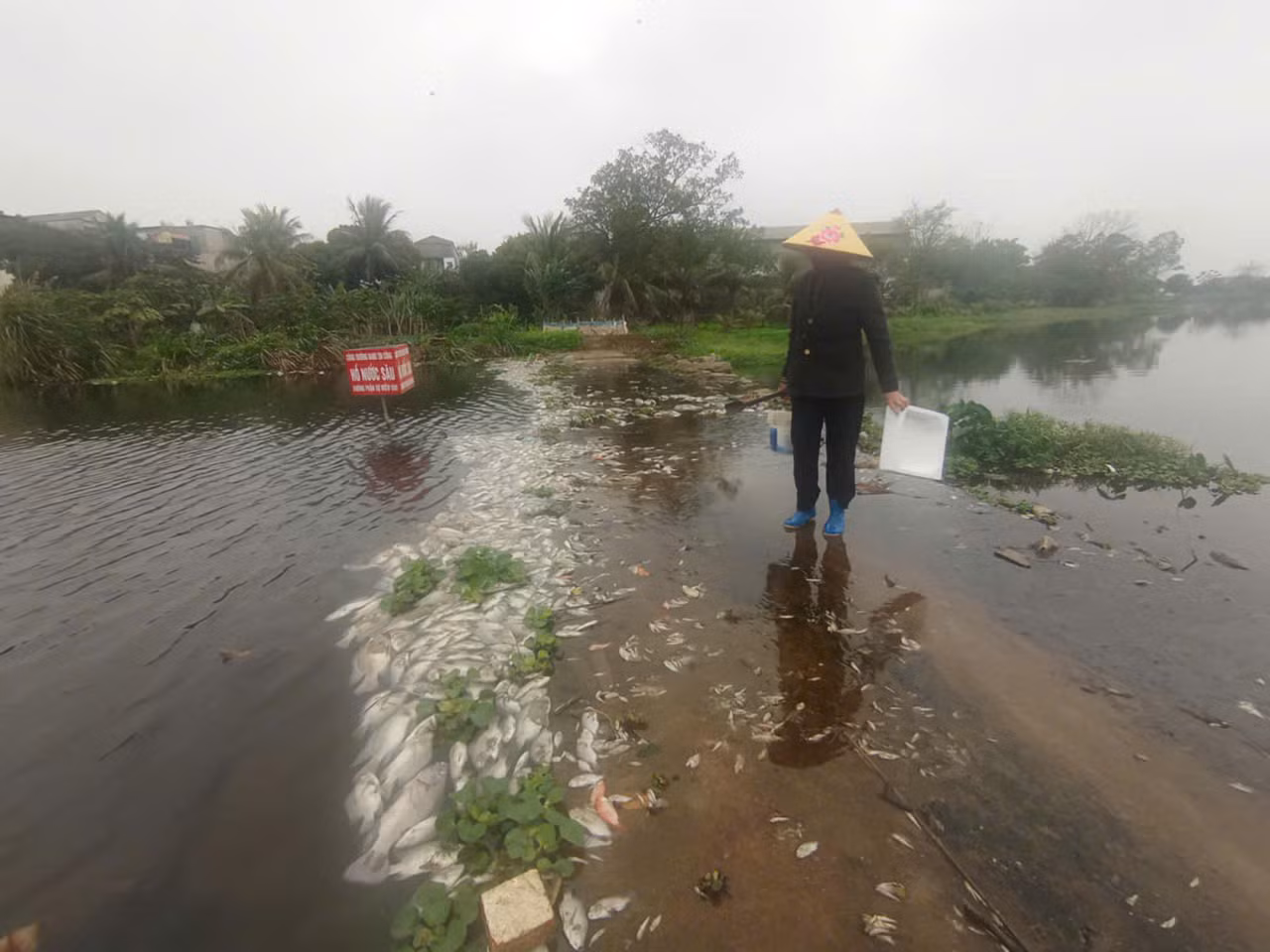 Được biết, suối Cổ Đam bắt nguồn từ dãy núi Tam Điệp, đổ ra sông Tam Điệp tại phường Ba Đình. Dòng suối dài 5-6 km này chảy qua nhiều phường ở thị xã Bỉm Sơn.