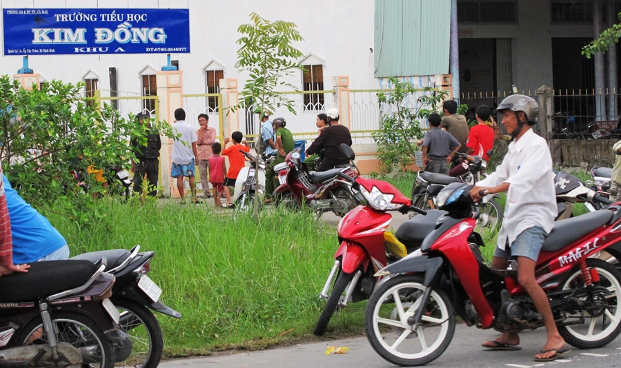 Khu vực cá sấu sổng chuồng gần với trường Tiểu học Kim Đồng