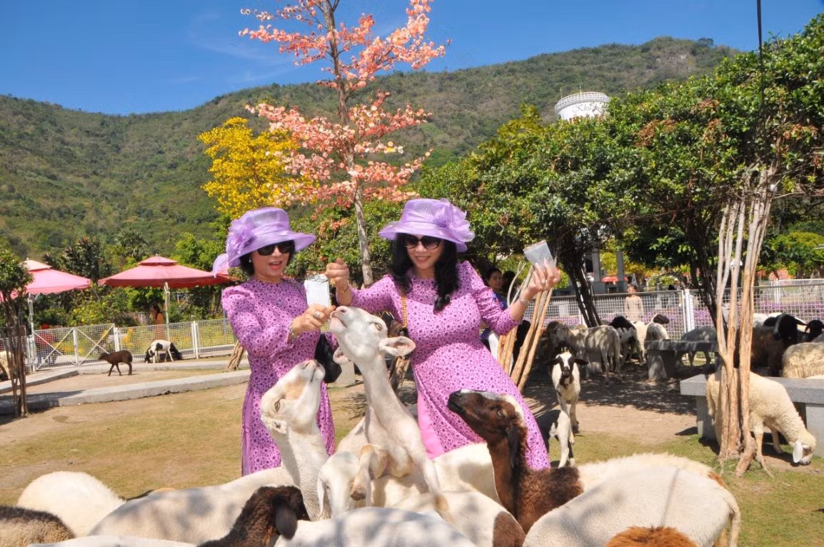 Thương yêu những chúng sanh