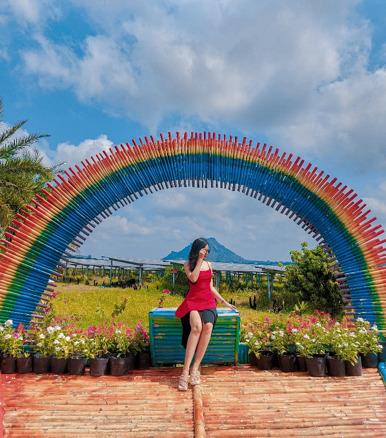 Cầu vồng 7 sắc tình yêu Cầu vồng 7 sắc tình yêu