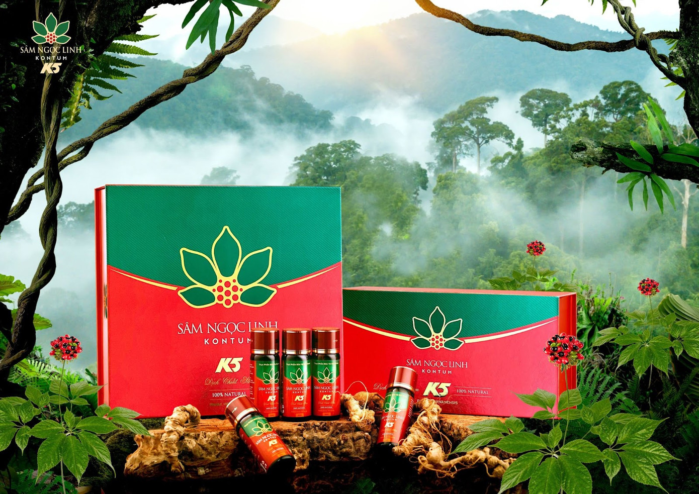 K5 Dịch chiết Sâm Ngọc Linh là sản phẩm giúp bồi bổ sức khỏe cho người tiêu dùng.