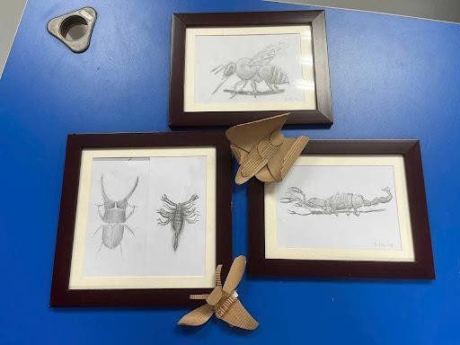 Những bức tranh này của Bách Du (lớp 5) được lựa chọn trưng bày tại triển lãm.