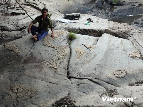 Phát hiện phiến đá trong rừng có hình bản đồ Việt Nam ảnh 2