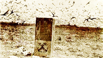 Cách Việt Nam Cộng hòa thực thi chủ quyền biển đảo ảnh 2