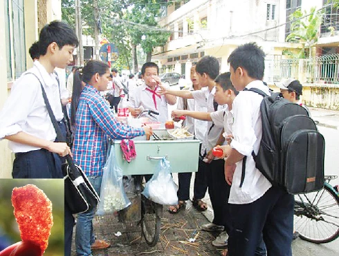 Hàng rong bán những món quà vặt hầu như không được kiểm định, kiểm tra chất lượng nhưng vẫn được nhiều học sinh tìm mua. Cảnh tại cổng Trường Tiểu học Nguyễn Huệ, Hà Đông, Hà Nội. Ảnh nhỏ thịt hổ khô không rõ nguồn gốc. Ảnh: SKDS.