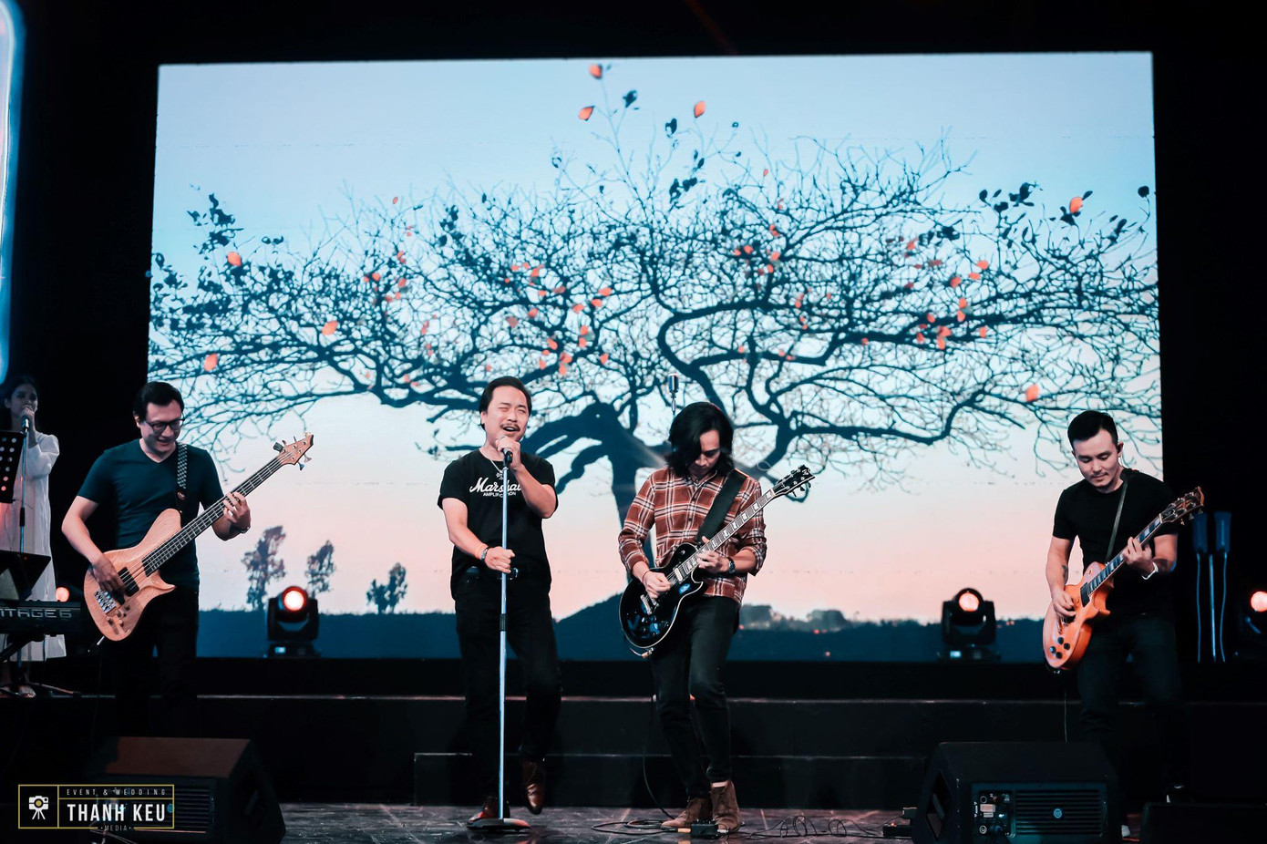 Bức Tường với ca khúc "Cây bàng" Bức Tường với ca khúc "Cây bàng"