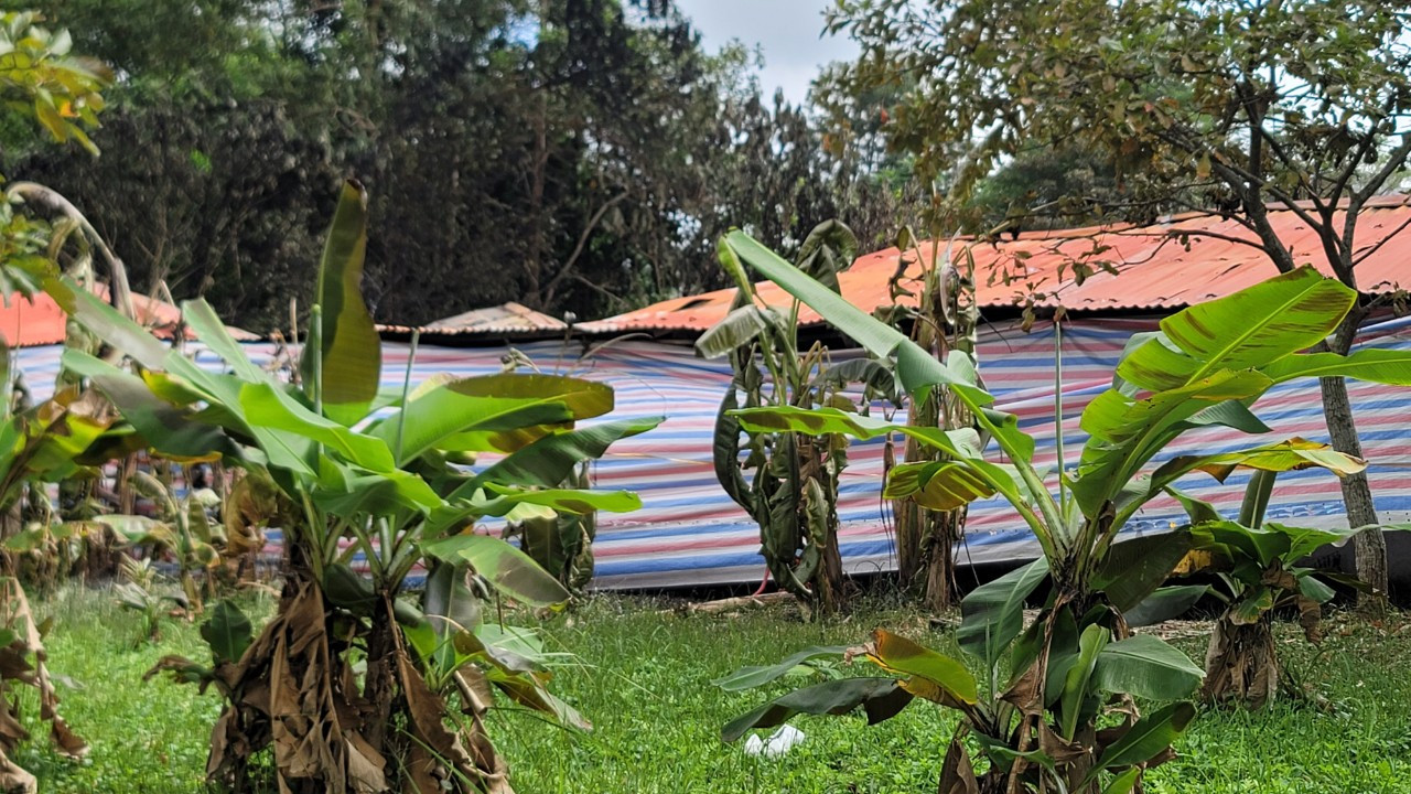 Khu vực nhà xe bị cháy đã được quây bạt bịt kín để phục vụ công tác điều tra. Khu vực nhà xe bị cháy đã được quây bạt bịt kín để phục vụ công tác điều tra.