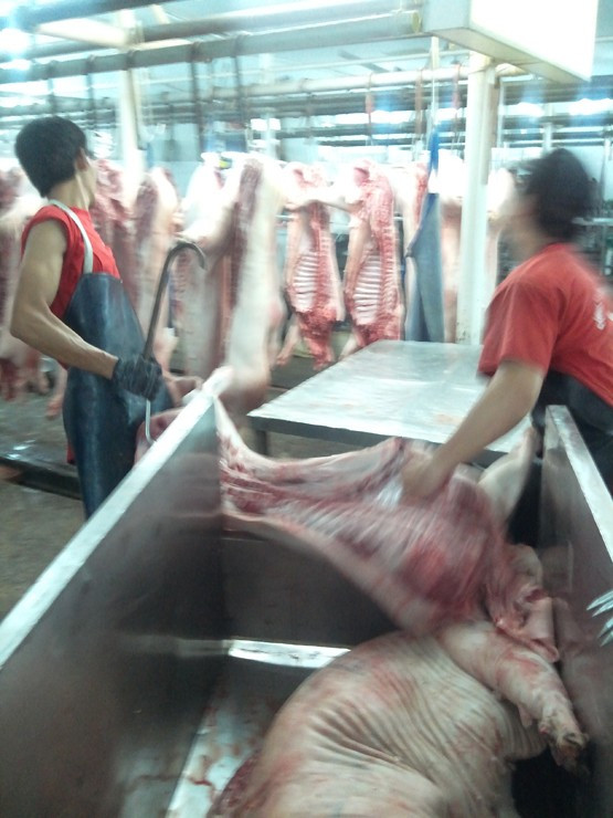 Việc giao dịch ở chợ đầu mối heo lớn nhất Sài Gòn diễn ra suốt đêm cho đến rạng sáng hôm sau