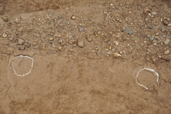 Quan sát tại hiện trường cho thấy, trong các lớp thành được hình thành với nhiều kỹ thuật khác nhau: chỗ thì đầm ngói, chỗ thì dùng đầm chùy, chỗ lại dẫm chân (vết gót chân còn nguyên - ảnh), có chỗ lại còn nguyên những khối đất lớn được cắt kéo..