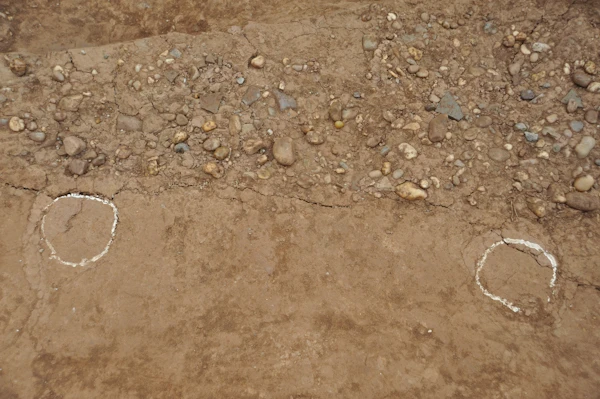 Quan sát tại hiện trường cho thấy, trong các lớp thành được hình thành với nhiều kỹ thuật khác nhau: chỗ thì đầm ngói, chỗ thì dùng đầm chùy, chỗ lại dẫm chân (vết gót chân còn nguyên - ảnh), có chỗ lại còn nguyên những khối đất lớn được cắt kéo..