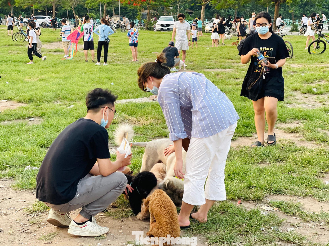 Nhiều bạn trẻ mang theo thú cưng đến khu vực này để cùng vui chơi.