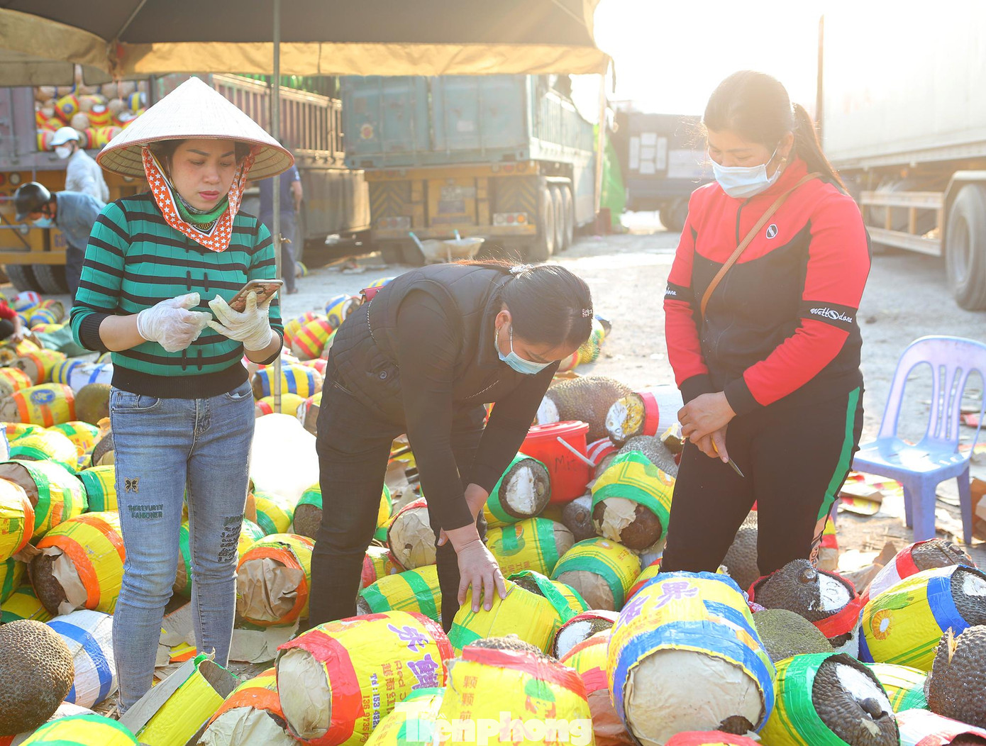 Mít được gỡ từ xe container xuống bán ngay tại dọc đường quốc lộ 1a cho người dân đến giải cứu.