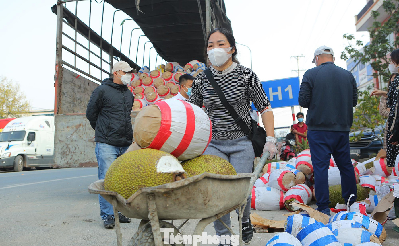 Những quả mít kích thước đẹp, to với trọng lượng lên tới hơn 10 kg chỉ có giá từ 60.000 đến 80.000 đồng/quả.