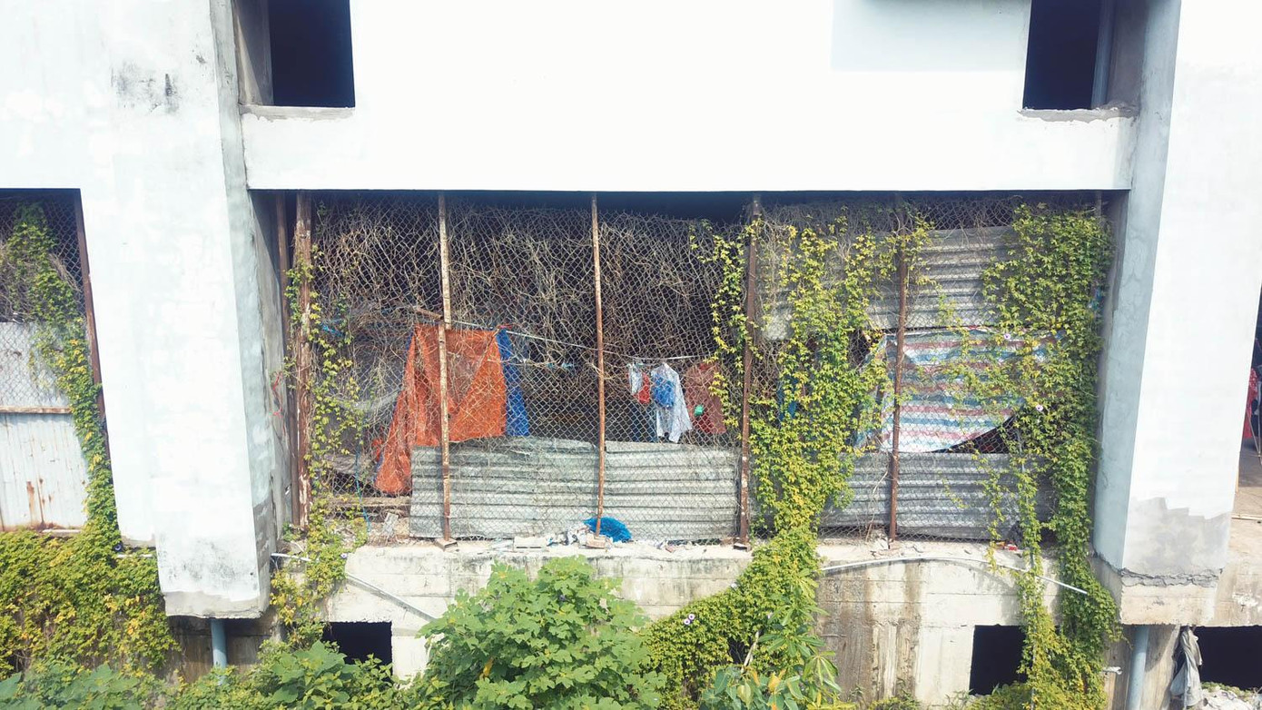 Thậm chí cỏ dại mọc um tùm cao quá đầu người , khu nhà bỏ hoang ngay tại vị trí khu đất vàng của trung tâm quận Cầu Giấy.