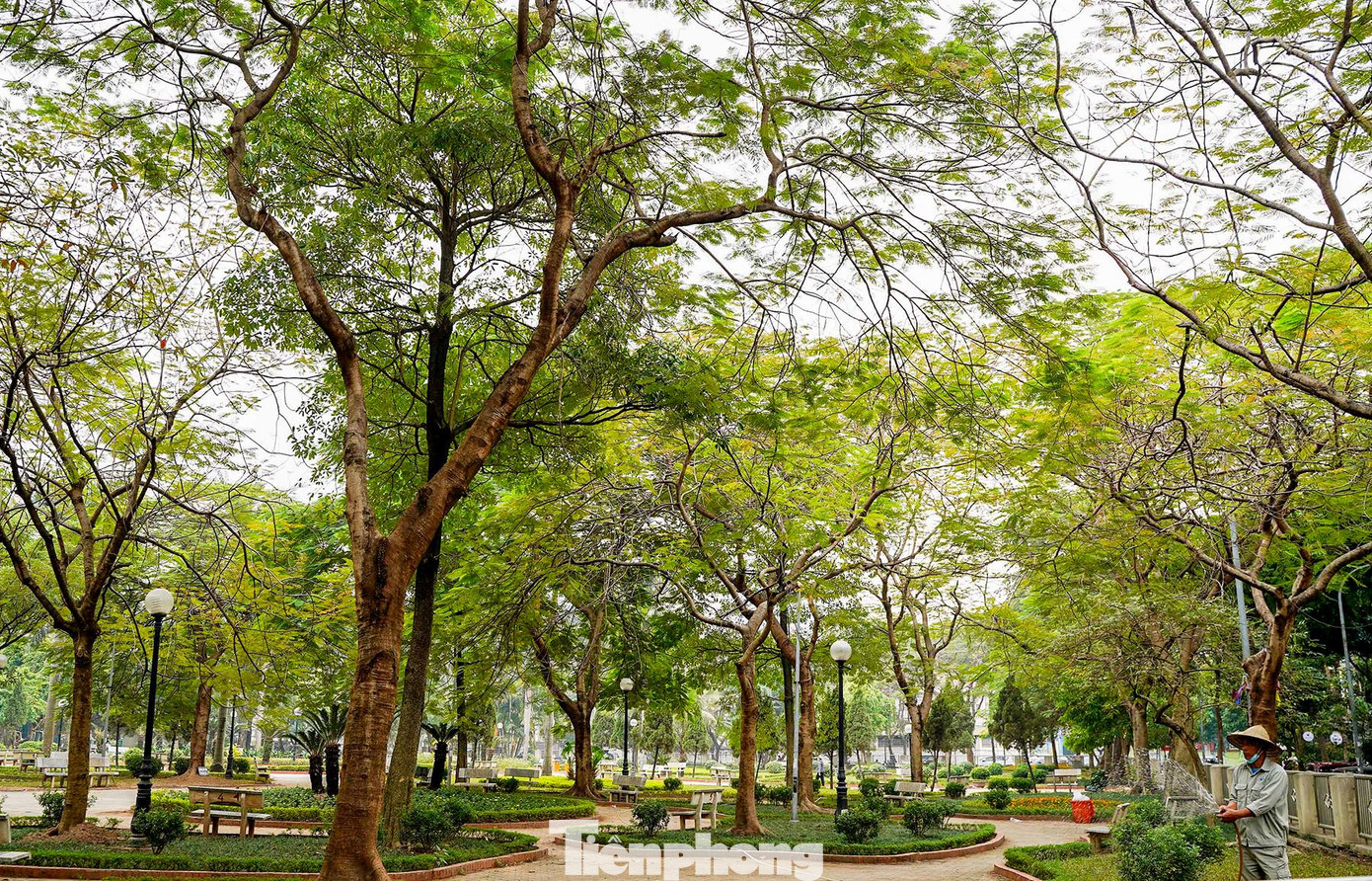 Hiện tuyến phố này đang có tên là Trung Yên 11, hai bên vỉa hè trồng rất nhiều cây xanh và ngay cạnh là Công viên Trung Yên.