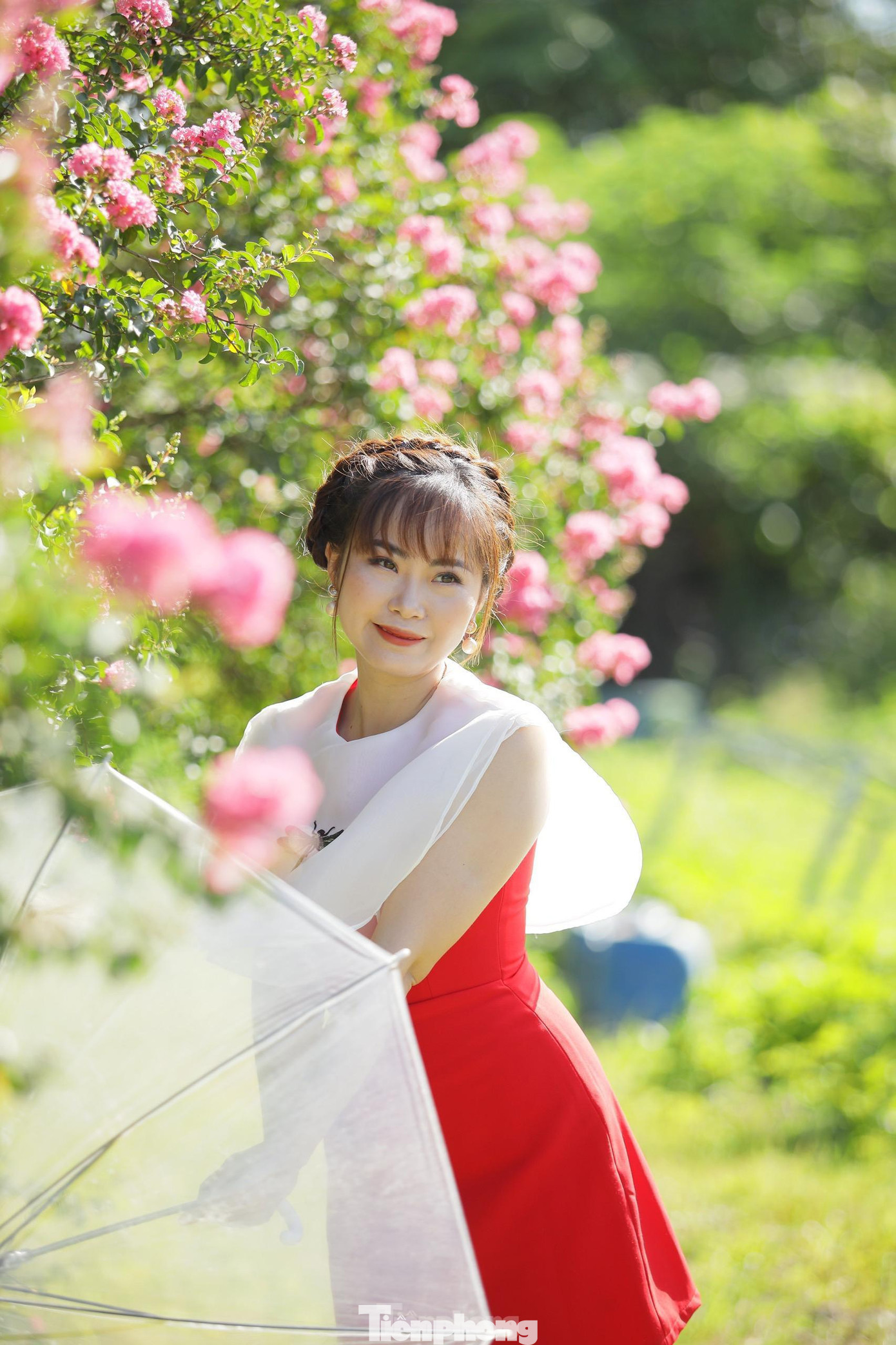 Những ngày hè nắng nhẹ, con đường hoa tường vi bung nở tươi thắm đã thu hút các bạn trẻ tới chụp hình lưu lại kỷ niệm.