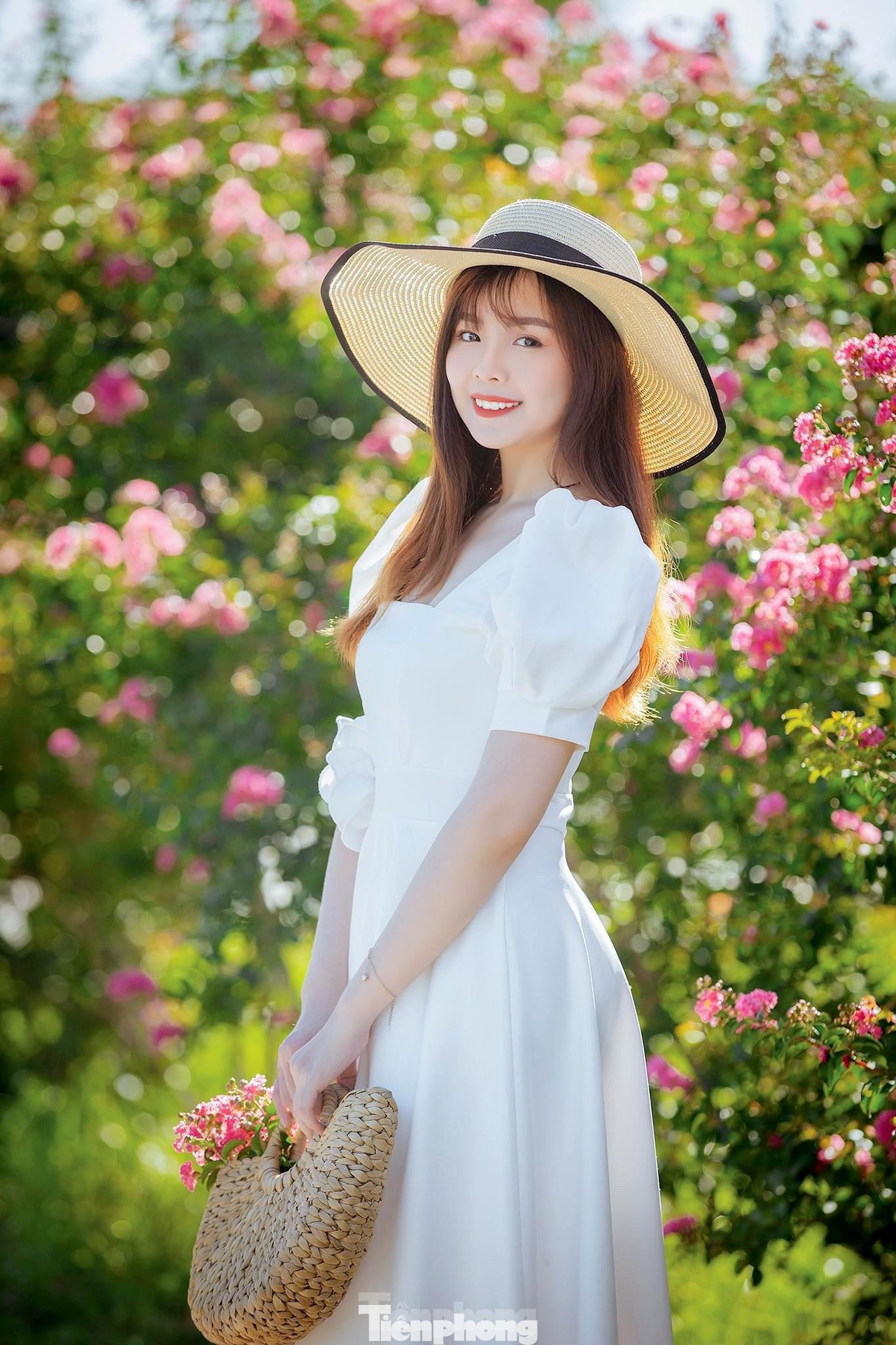 Kể từ khoảng giữa tháng 6, hàng trăm nụ hoa tường vi đã bung nở rực rỡ, tạo nên một cảnh sắc lung linh tuyệt trần, đẹp tựa như mơ.