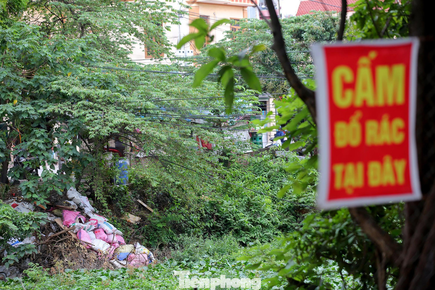 Mặc dù đã có biển cấm đổ rác nhưng người dân vẫn vô tư đổ rác, xả thải xuống dòng kênh khiến môi trường bị ô nhiễm trầm trọng.