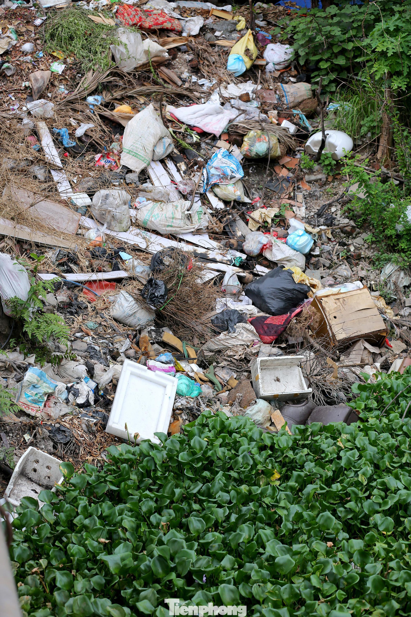 Rác thải ngập ngụa trong lòng kênh. Một số đoạn kênh La Khê đã được quây tôn, treo biển cấm đổ rác, nhưng dường như không có tác dụng.