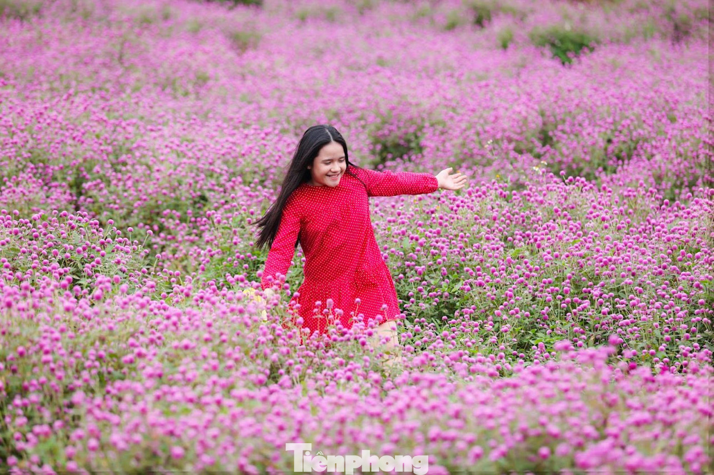Nhiều bạn trẻ cho biết có cảm giác như đang lạc vào xứ sở thần tiên bởi vẻ đẹp lãng mạn của thảo nguyên hoa tím nơi đây.
